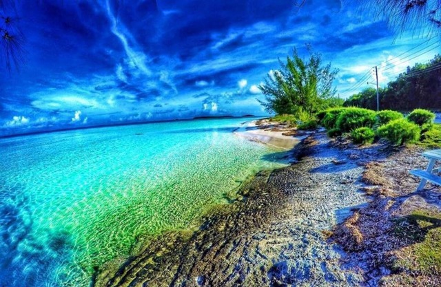 House Of Love - The Perfect Vacation