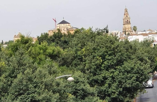 House on the banks of the river, next to the Mosque.