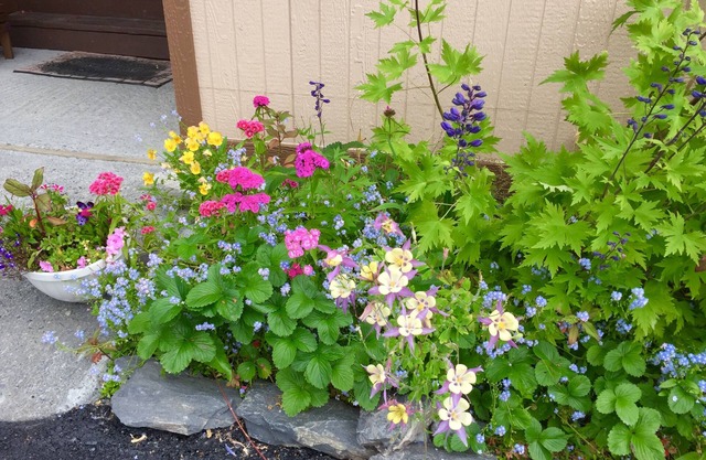 House on the Rock B & B