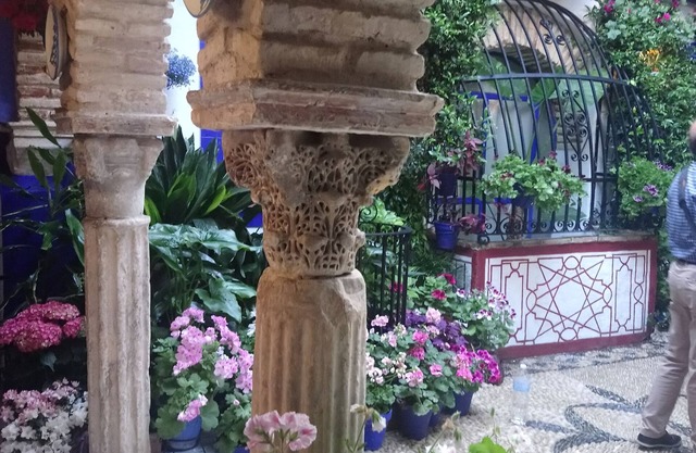 Housing located in typical house of Córdoba. Free WIFI