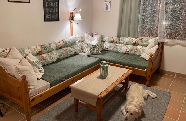 Hundefreundliche Bergwohnung neben der Skipiste - Mittelstation Skigebiet Gerlitzen