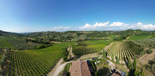 I Vigneti del Chianti