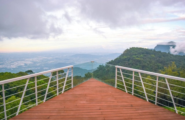 Ibex Resorts Coonoor Tapas