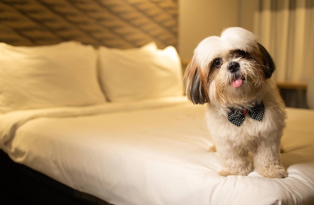 ibis Juazeiro do Norte