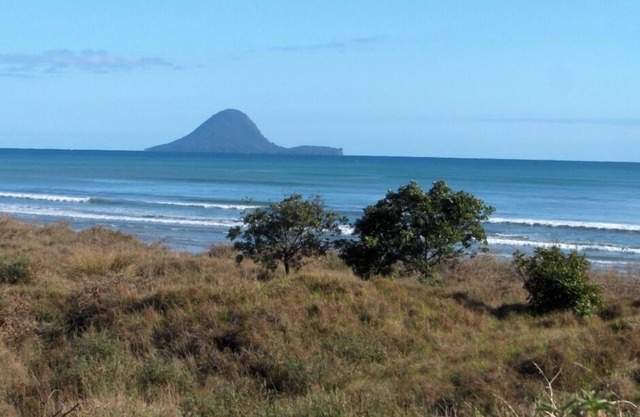 Iconic Kiwi Bach Beach