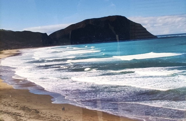 Iconic Wainui Beach a 100m stroll. Relax in Tropical type surroundings.