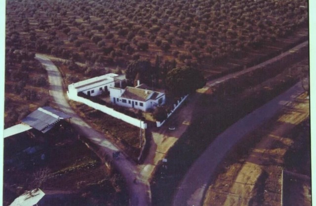 Ideal Para Grupos Familiares , Amigos. Cercano al PN Sierra de Andujar