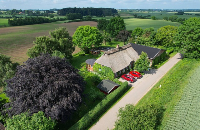 Idyllic thatched roof house from 1860 with winter garden and foresight