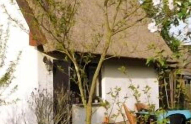 Idyllic thatched cottage on the old Peene