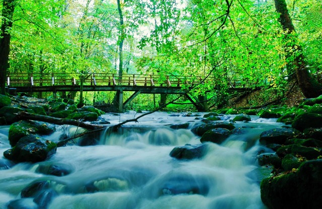 Idyllic vacation home Lapland