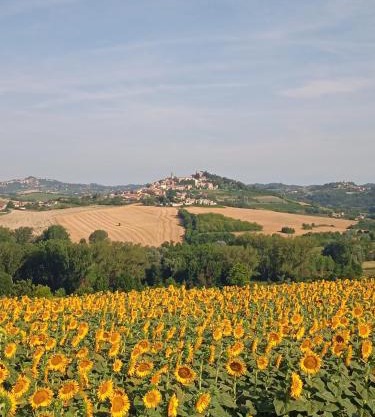 Il Casale