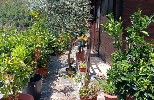 Immaculate 1-bed House in Gois Mountain View