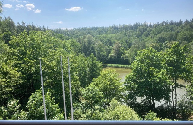 Immensee I Apartment with lake view surrounded by forest