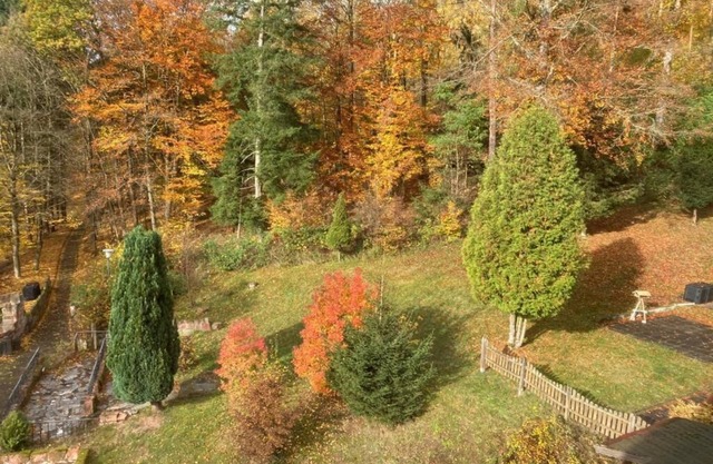 Immensee II Apartment with lake view and located at the forest edge