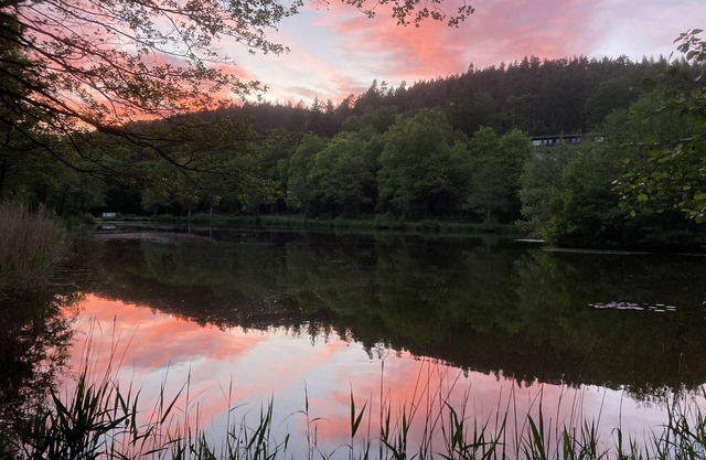 Immensee IV cozy small Apartment with common area with fireplace