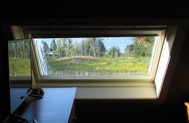 In Need Of Vitamin Sea? We’ve Got You Covered