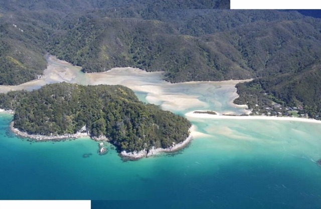 In the heart of the park