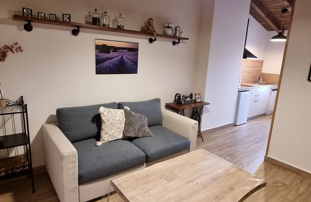 Industrial Apartment