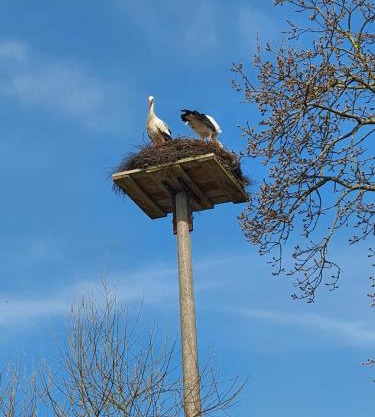 Ingrid`s Ferienwohnung