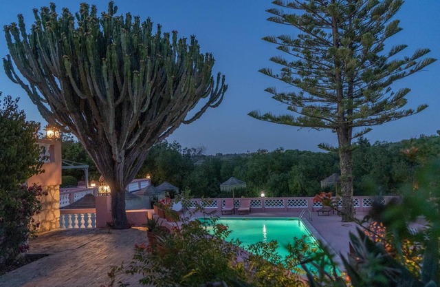 Inn Seventies Cheap & Chic