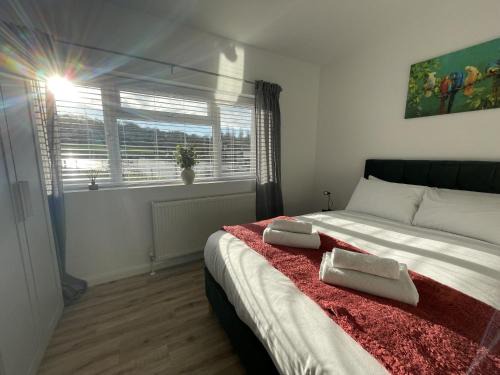 Inviting Urban Retreat