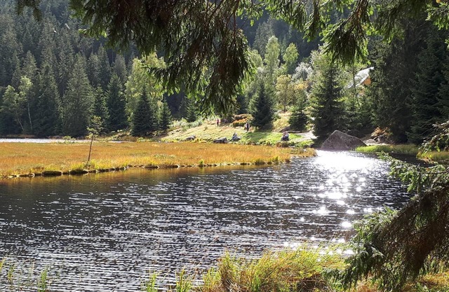 Jagdhaus Chalet - Luxus Chalet mit Smoker Grill und Eigenem Whirlpool auf der Terrasse
