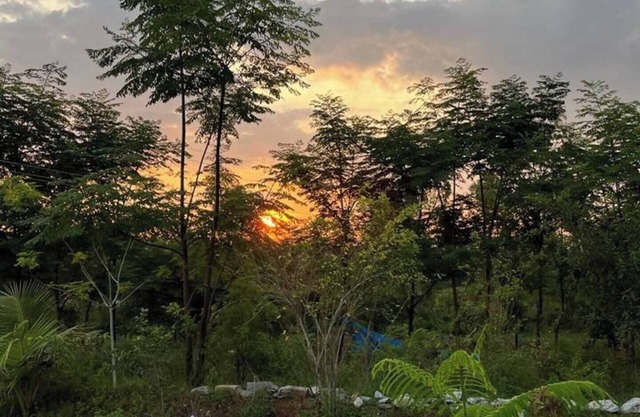 JoE- Amidst Nature campground in Thalikothanur - CAMPSITE 3