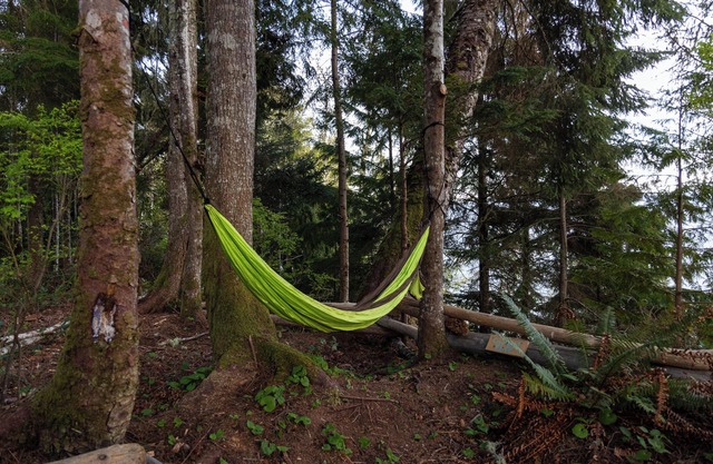 Jordan River Oceanfront Surf Shack with free Surfboards/Beach trail to the waves