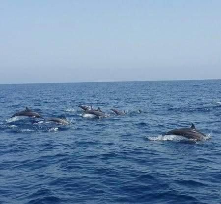 JRN Island sea view Beach Resort Honnavar