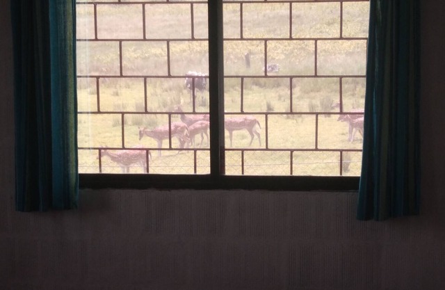 Jungle Guest House near Mudumalai Bandipur Masinagudi Ooty