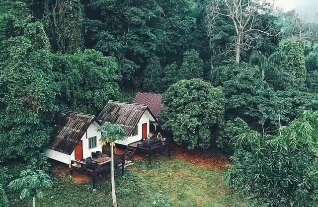 Jungle guest house