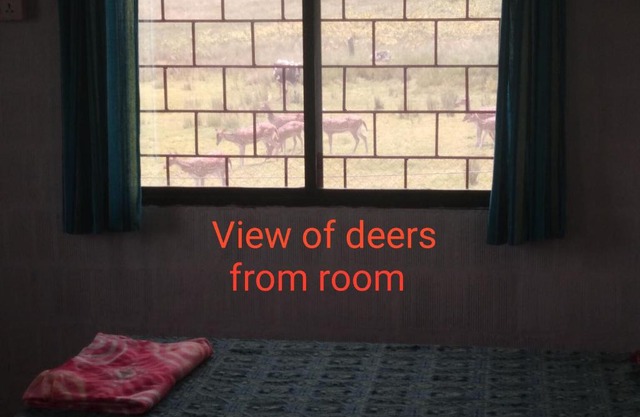 Jungle Homestay near Bandipur Mudumalai Masinagudi