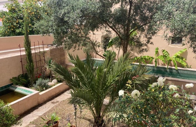 Junqueira Gardens - Casa Antiga Jardim e Piscina