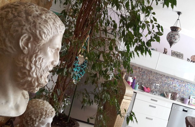 Just like Alice in Wonderland