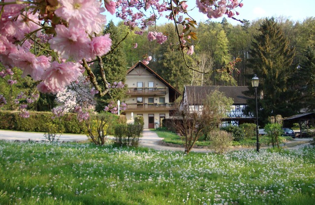 Köhlichs Paradeismühle