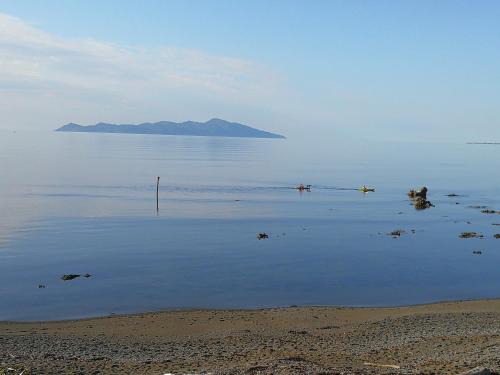 Kapiti Waves Bed & Breakfast