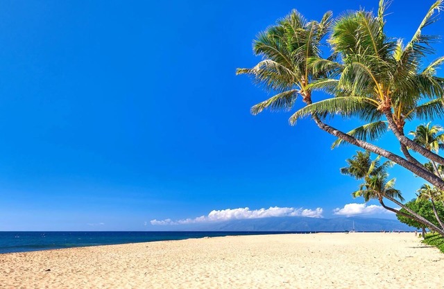 KBM Resorts | FREE CAR | Kaanapali Shores | Ocean view | 2-Bedroom Condo, Recently Remodeled, Includes Beach Gear! KS-815