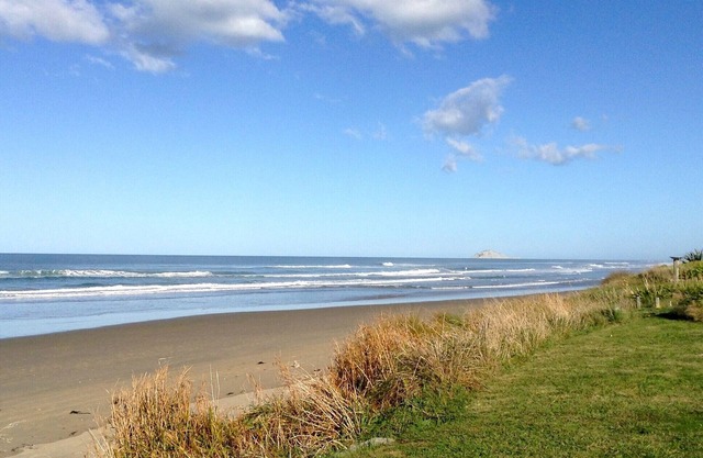 Kiwiana Bach - Ocean Beach Bach