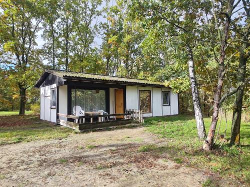 Kleine Freiheit Nummer 3