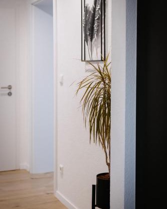 Kleine gemütliche Wohnung