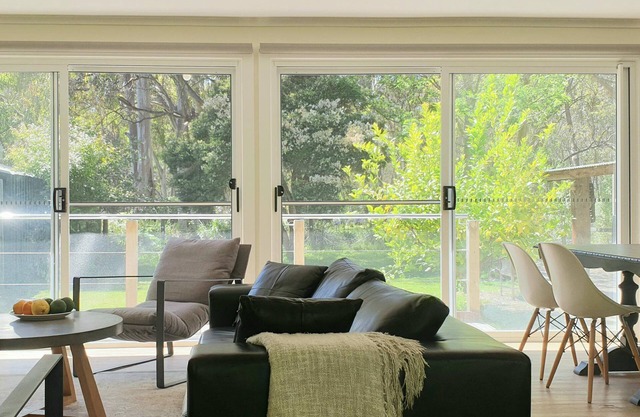 Koalas Songs - Watch Koalas and Roos right from your backyard