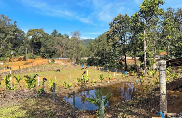 Kodachadri Pathalagere Homestay