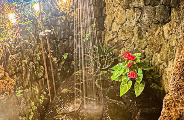 KONA CLOUD FOREST GUEST HOUSE~3 Bedrooms~