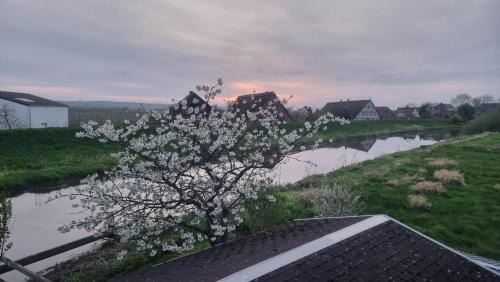 Lühe Loft - direkt am Wasser im Alten Land