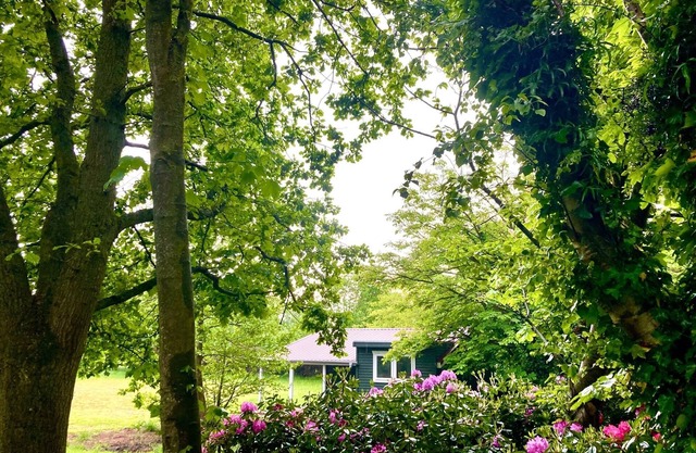 Lütje Nüst – Charming Chalet on the North Sea