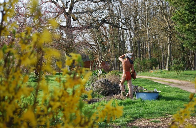 LA CLAIRIERE AU BOIS is a haven of peace and relaxation in the countryside.