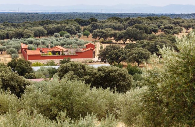 La Costanilla de los Angeles