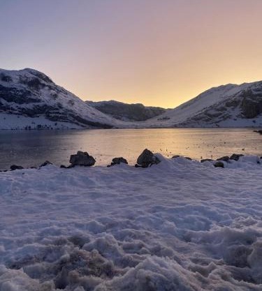 La Glicinia VUT-7355-AS