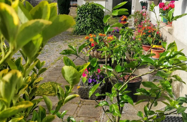 La Maison D'odette 2-star Furnished Accommodation Auvergne/Puy de Dôme.