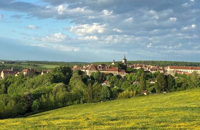 La Maison Galimard – Guest Rooms in Flavigny-sur-Ozerain